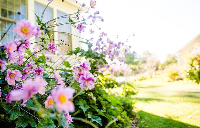 4 Things To Expect from the Spring Housing Market